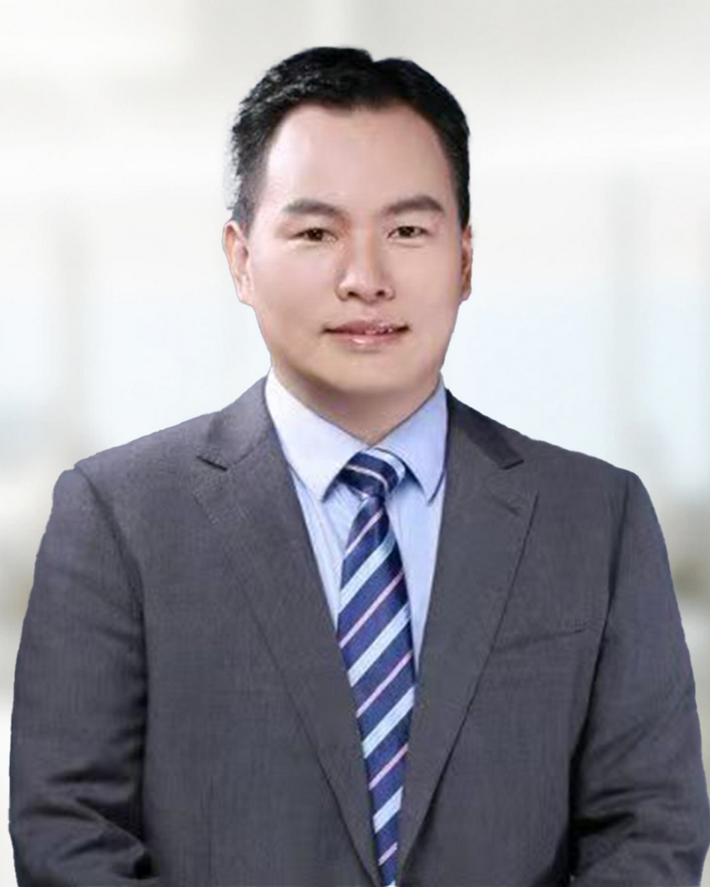 WANG Wenjun