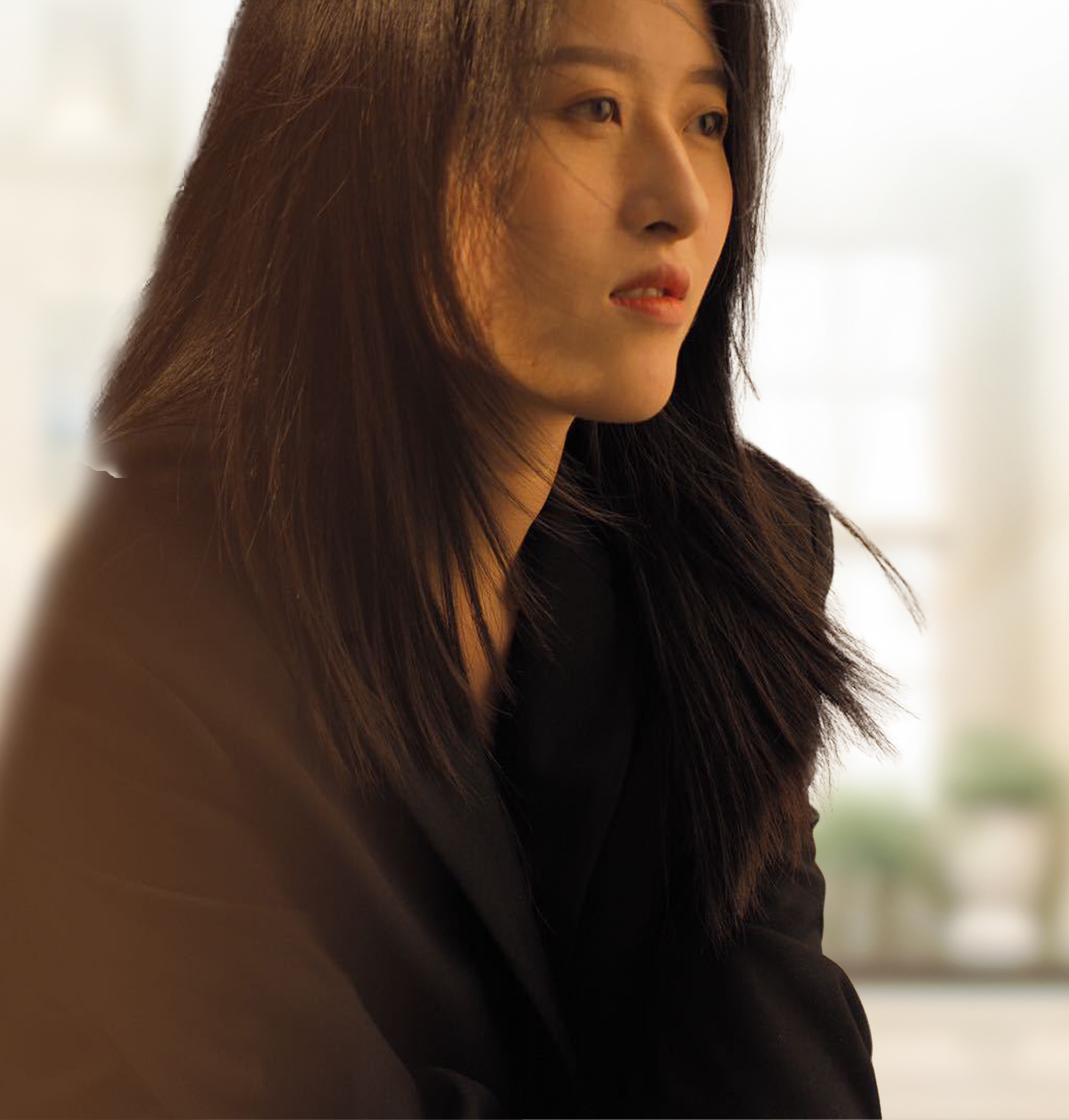 WAN Dian